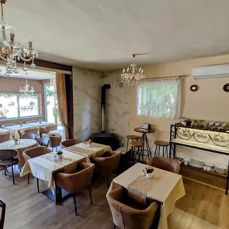 International 4* Paraćin